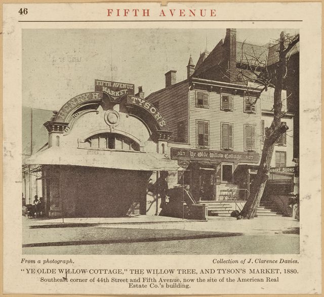 Ye Old Willow Cottage' Fifth Avenue & 44th Street. During the Draft Riots in which the Colored Orphan Asylum was burned, this cottage became the headquarters of the mob.